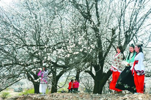 非凡炸金花旧版游戏界面